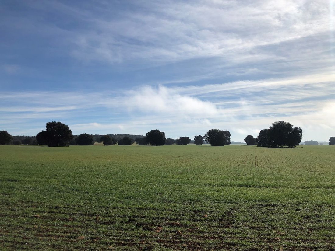 Farm Ranch in Albacete, Castile-La Mancha, Spain 4 - 12834987