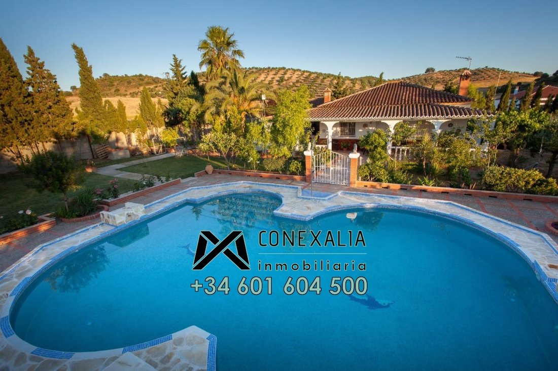 Chalet in Olvera, Andalusia, Spain 1 - 12835553