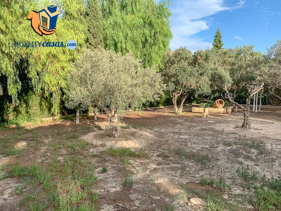 Land in Alicante, Valencian Community, Spain 2 - 12836231