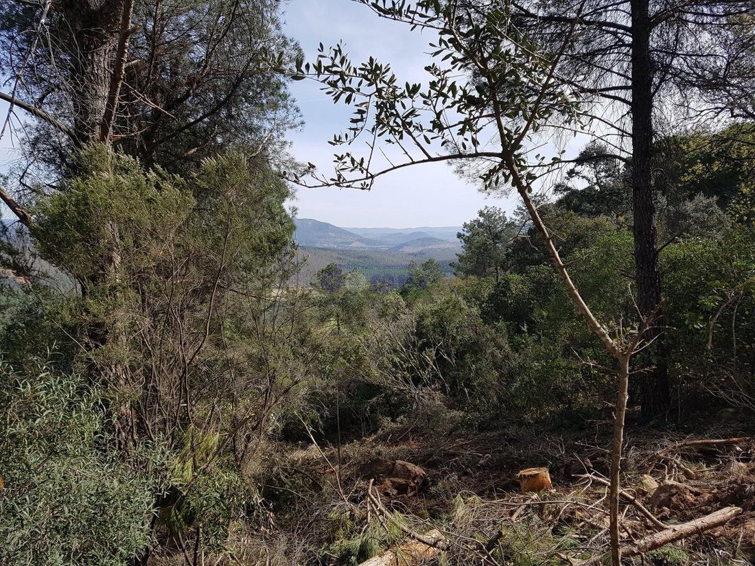 Farm Ranch in Daimiel, Castile-La Mancha, Spain 3 - 12836594