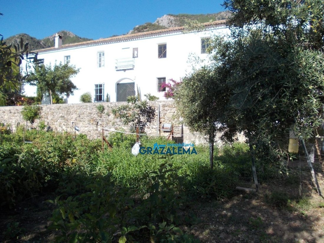 Farm Ranch in Grazalema, Andalusia, Spain 3 - 12835681