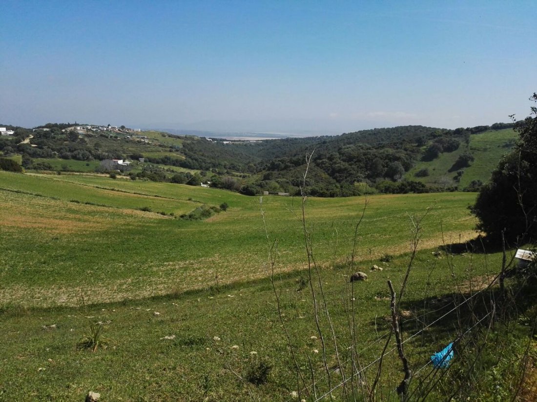 Farm Ranch in Vejer de la Frontera, Andalusia, Spain 4 - 12834471