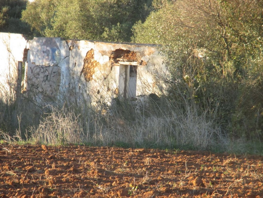 Farm Ranch in Conil de la Frontera, Andalusia, Spain 5 - 12836619