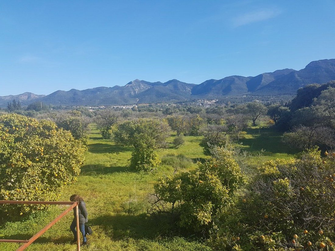 Farm Ranch in Alhaurín el Grande, Andalusien, Spanien 1 - 12836722