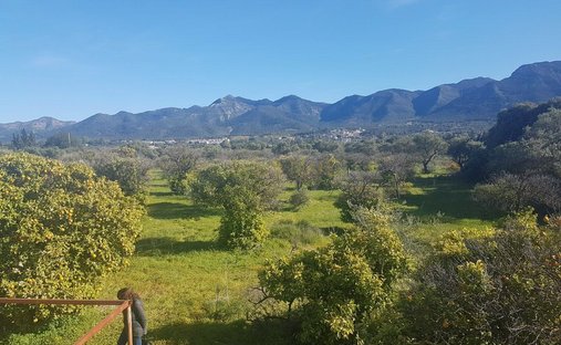 Farm Ranch in Alhaurin el Grande, Andalusia, Spain 1