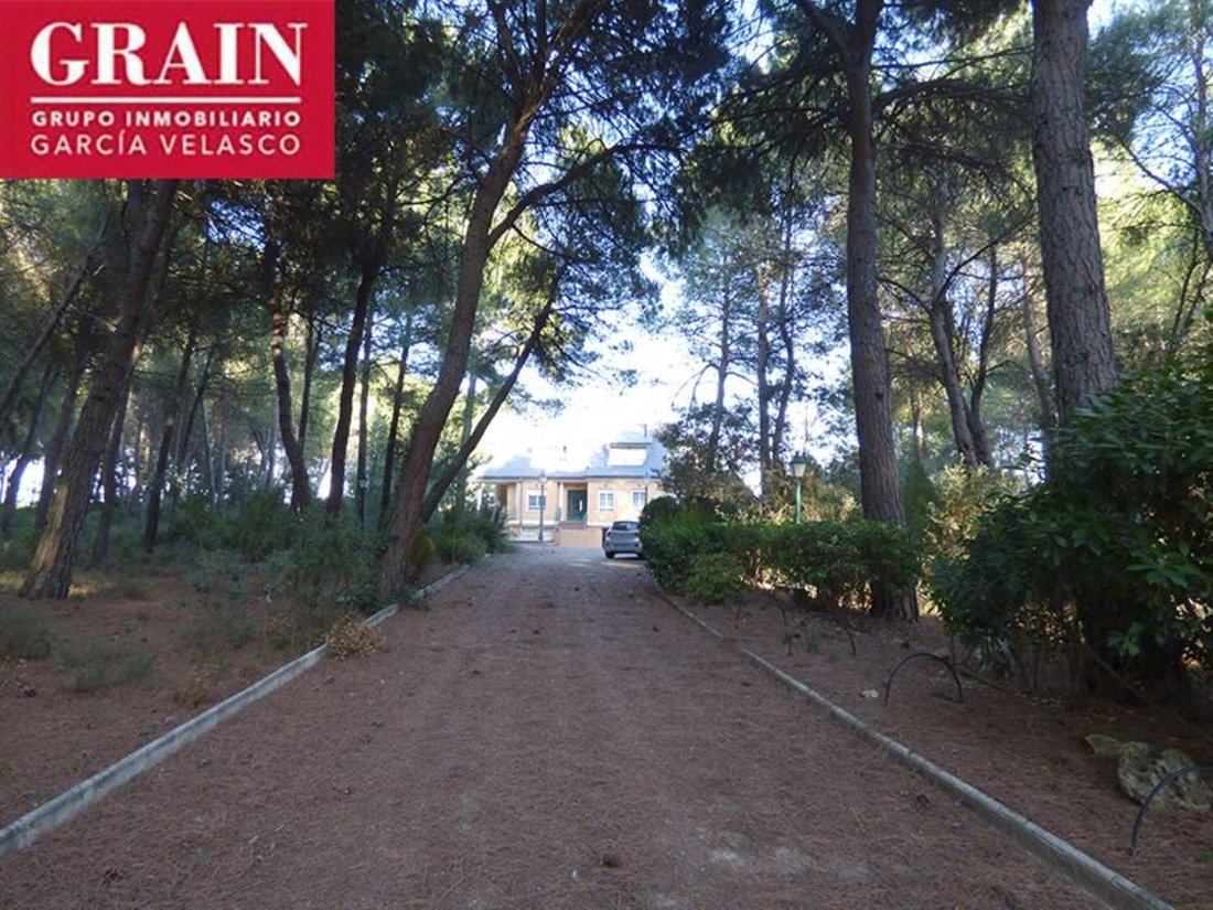 Chalet in Albacete, Castile-La Mancha, Spain 5 - 12835067