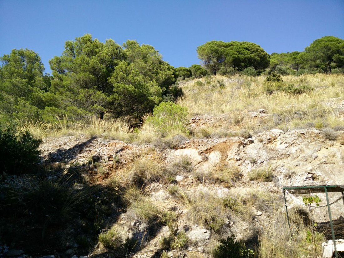 Corps de ferme à La Cala de Mijas, Mijas, Espagne 2 - 12836766
