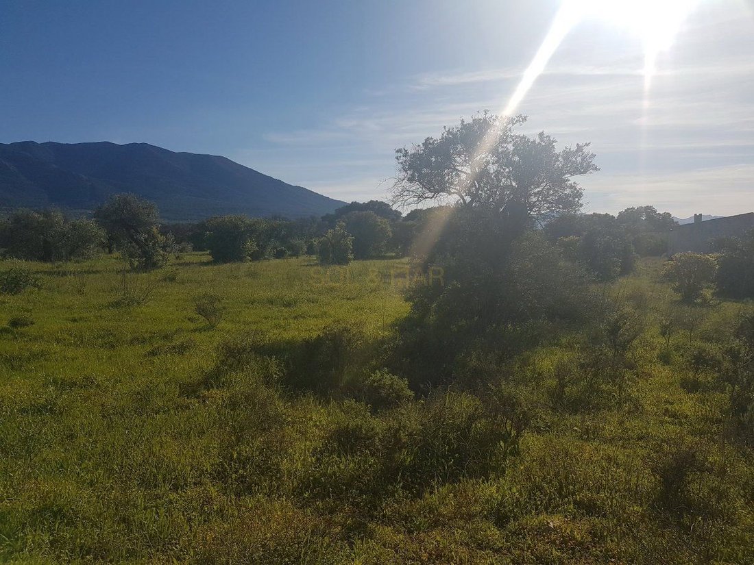 Farm Ranch in Alhaurín el Grande, Andalusien, Spanien 2 - 12836722