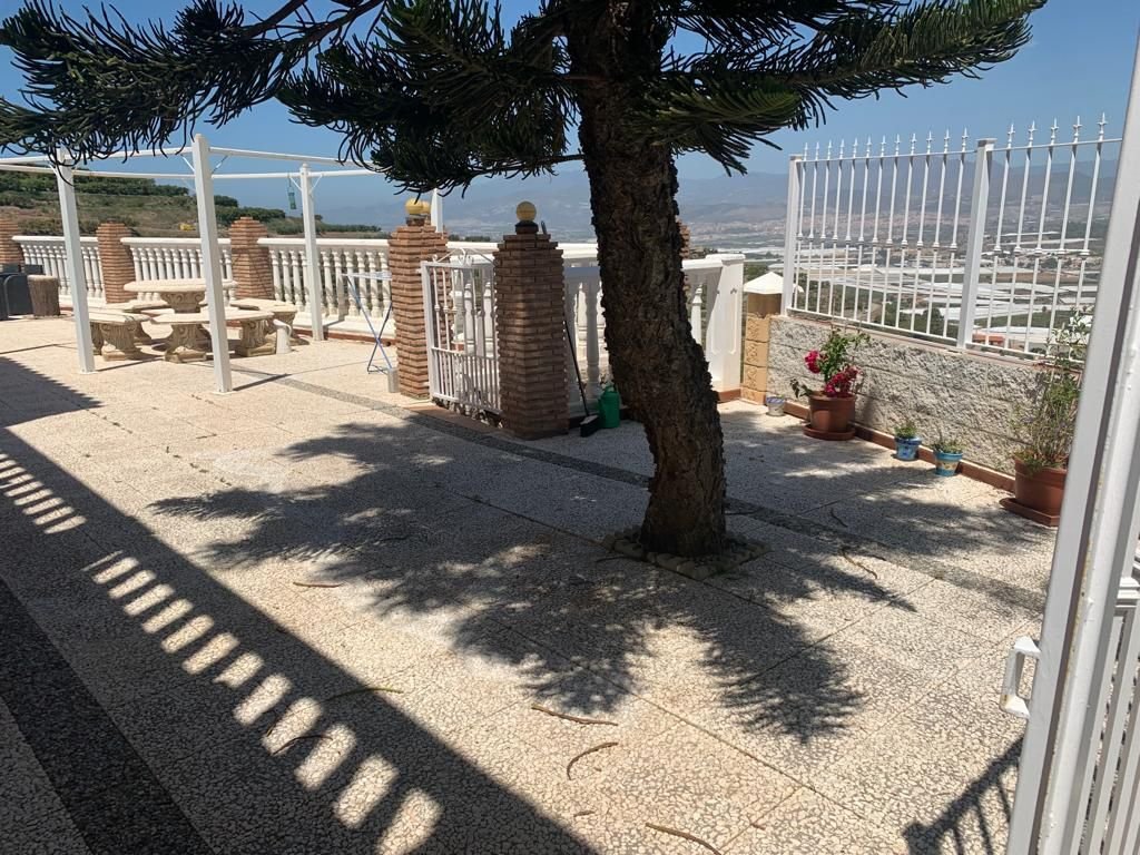 Finca in Motril, Andalusia, Spain 5 - 12835932