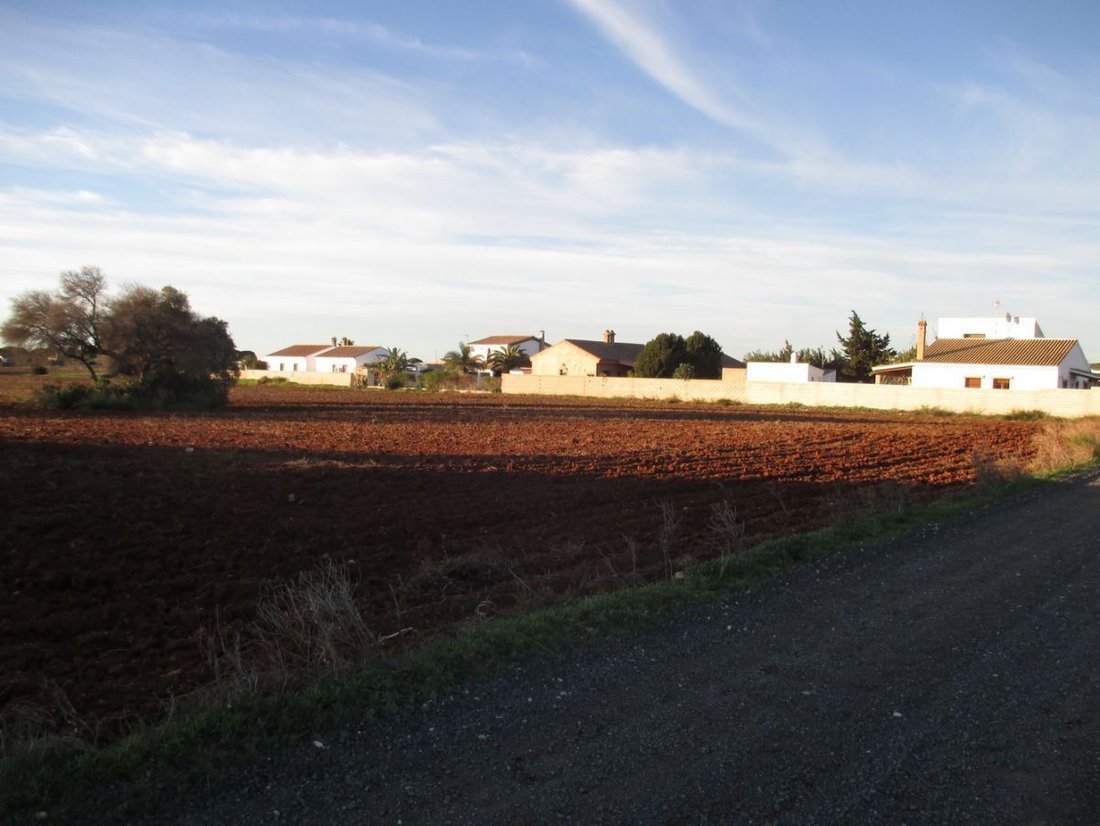 Farm Ranch in Conil de la Frontera, Andalusia, Spain 3 - 12836619