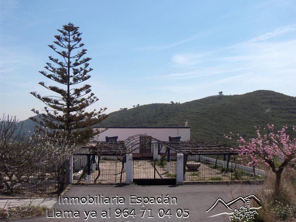 Altura, Valencian Community, Spain 4 - 12836012