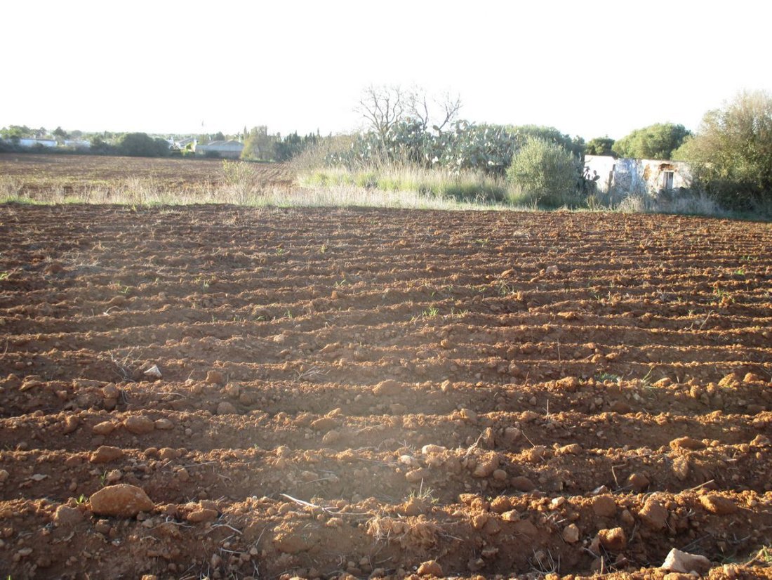 Farm Ranch in Conil de la Frontera, Andalusia, Spain 4 - 12836619