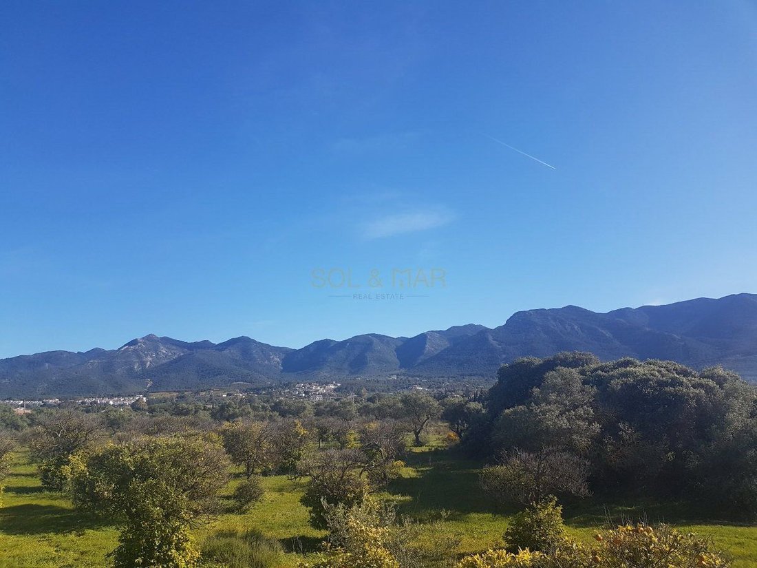 Farm Ranch in Alhaurín el Grande, Andalusien, Spanien 3 - 12836722