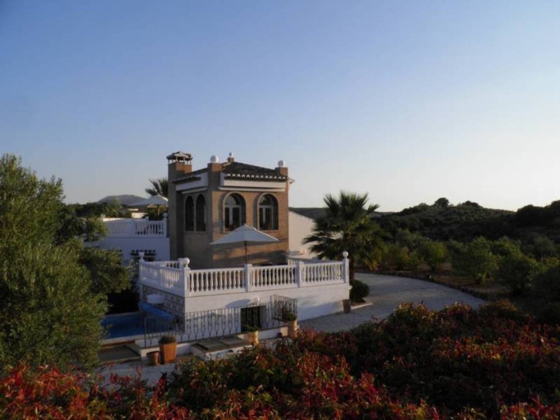 Chalet in Loja, Andalusia, Spain 1 - 12835443