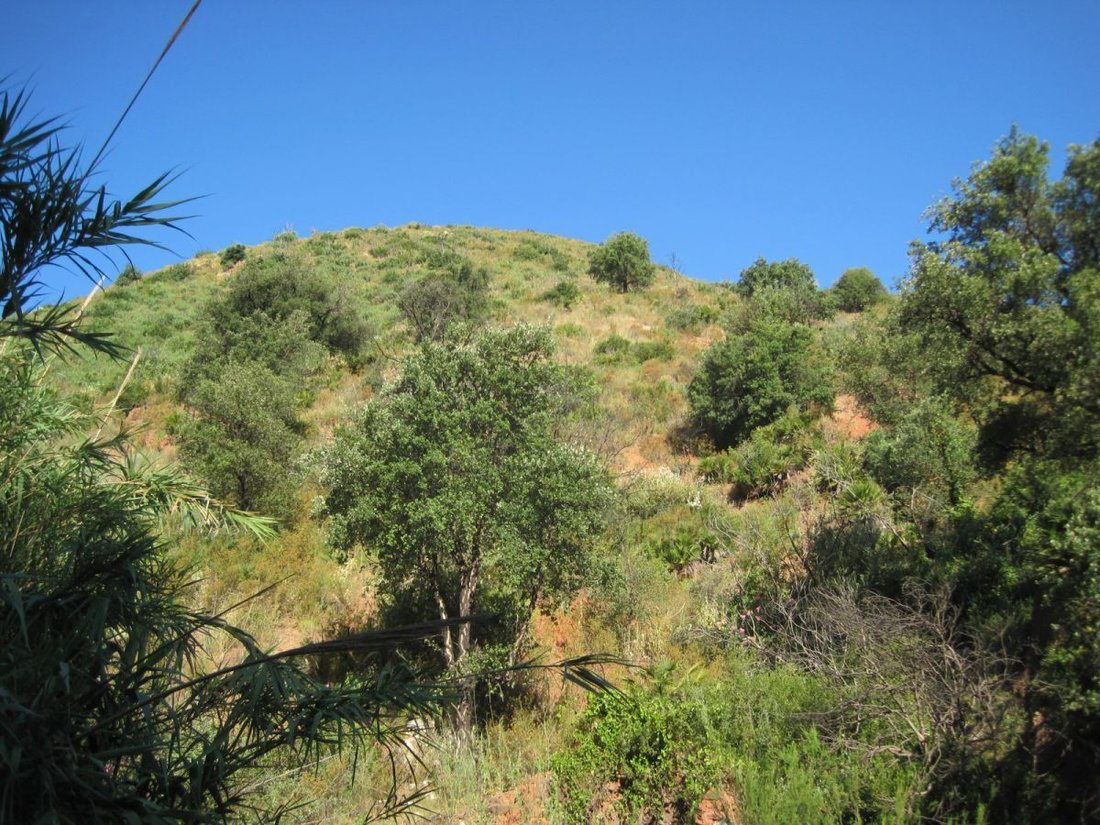 Farm Ranch in Mijas, Andalusia, Spain 2 - 12835330