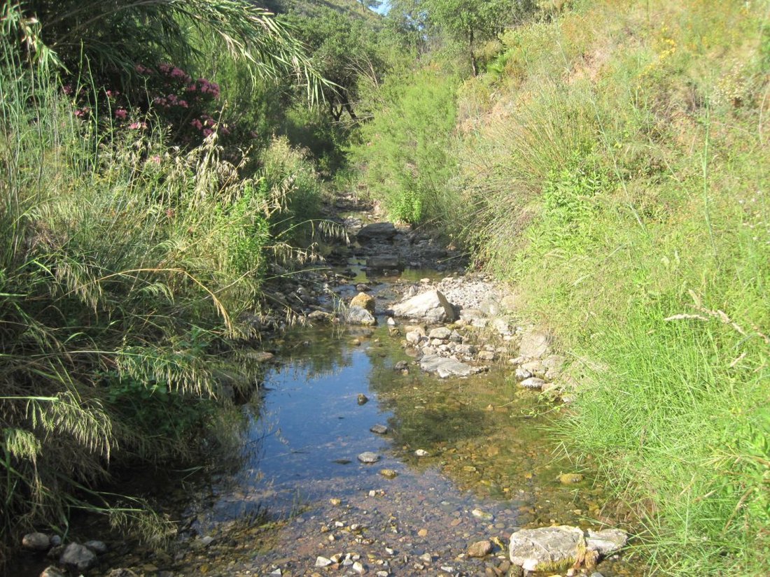 Farm Ranch in Mijas, Andalusia, Spain 4 - 12835330