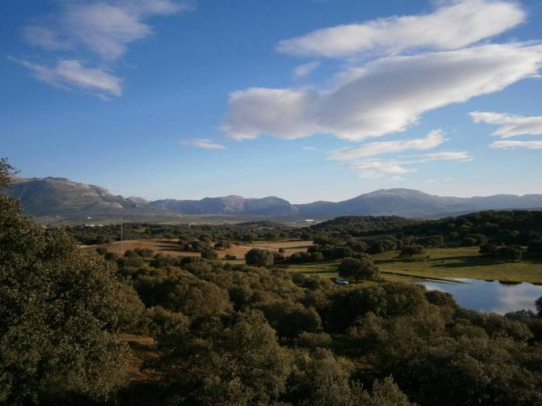 Domaine à Cártama, Andalousie, Espagne 1 - 12835623