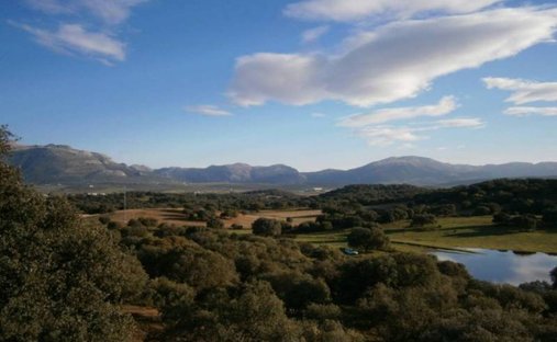 Tenuta a Cártama, Andalusia, Spagna 1