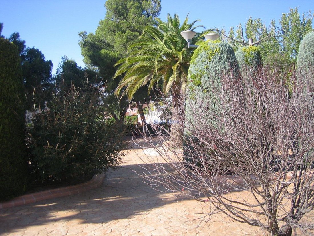 Chalet in Petrer, Valencian Community, Spain 5 - 12834757