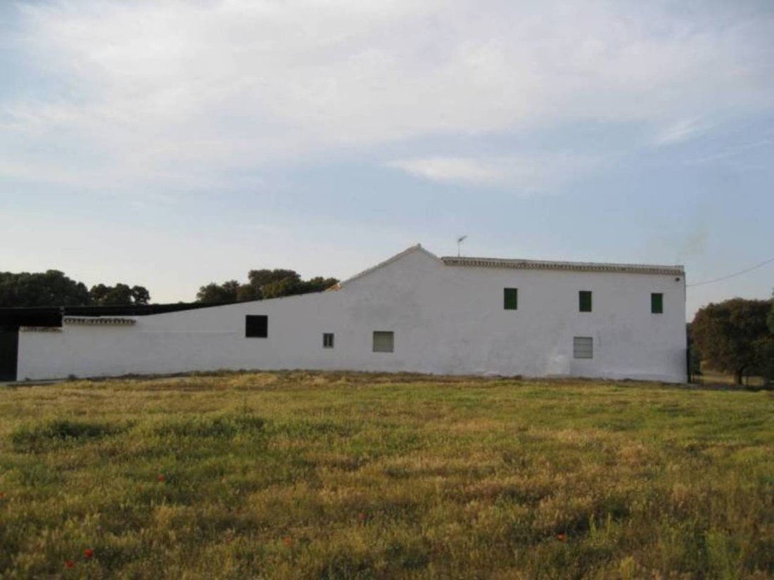 Domaine à Cártama, Andalousie, Espagne 4 - 12835623
