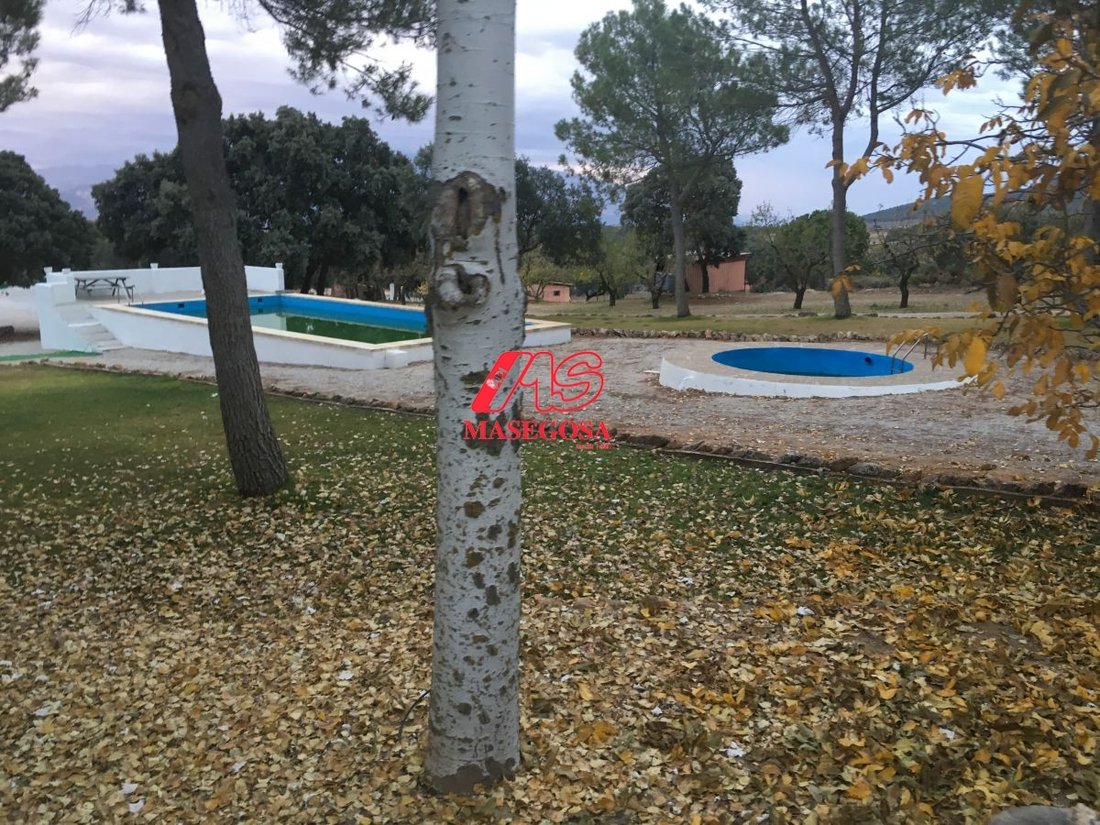 Farm Ranch in Padul, Andalusia, Spain 2 - 12834509