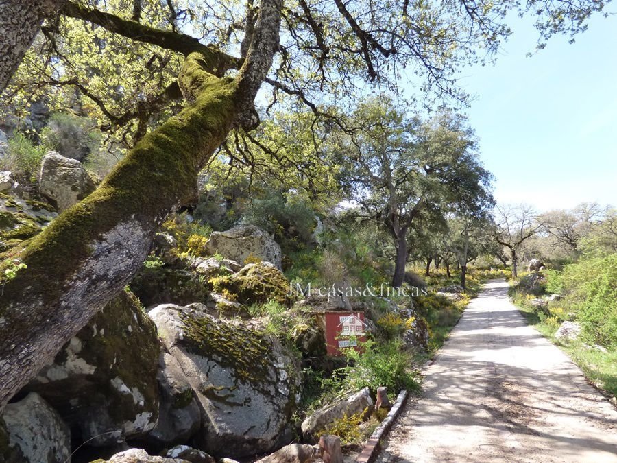 Farm Ranch in Centro, Malaga, Spanien 2 - 12836885