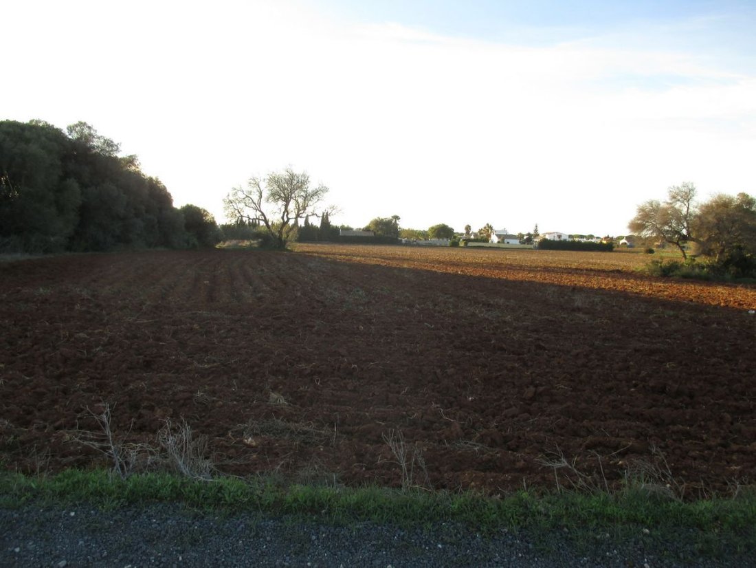 Farm Ranch in Conil de la Frontera, Andalusia, Spain 1 - 12836619