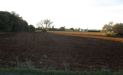 Farm Ranch in Conil de la Frontera, Andalusia, Spain 1