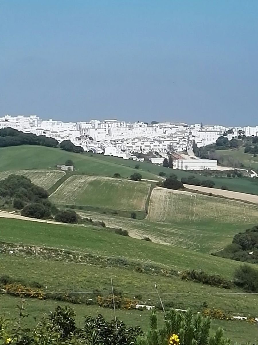 Farm Ranch in Vejer de la Frontera, Andalusia, Spain 2 - 12834471