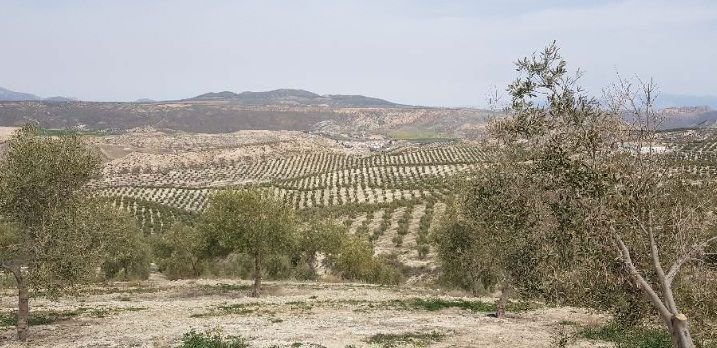 Farm Ranch in Alamedilla, Andalusia, Spain 2 - 12834806