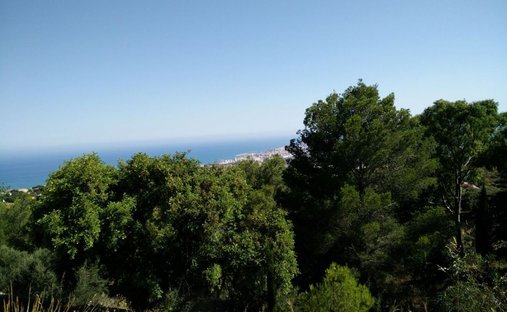 Azienda agricola a La Cala de Mijas, Mijas, Spagna 1