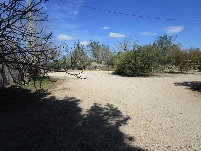 Farm Ranch in Roquetes, Catalonia, Spain 5 - 12834746