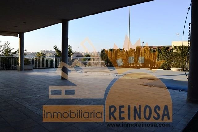 Chalet in Molina de Segura, Región de Murcia, Spain 1 - 12835588