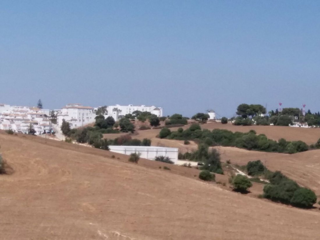 Farm Ranch in Vejer de la Frontera, Andalusia, Spain 3 - 12834471