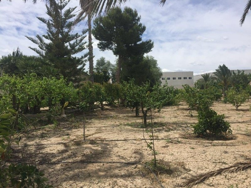 Finca Rústica Venta Alicante In Alicante, Valencian Community, Spain ...