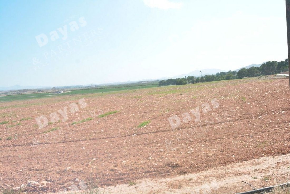 Farm Ranch in Murcia, Región de Murcia, Spain 5 - 12837437