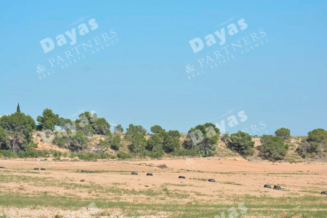 Farm Ranch in Murcia, Región de Murcia, Spain 1 - 12837437