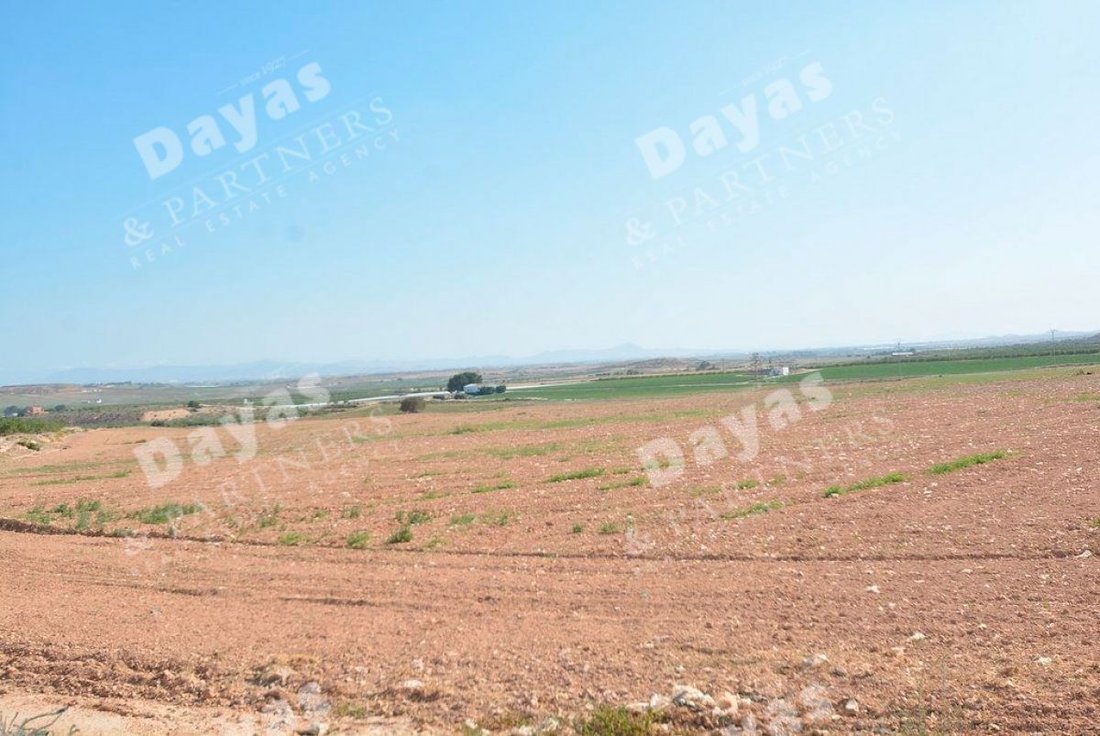 Farm Ranch in Murcia, Región de Murcia, Spain 4 - 12837437