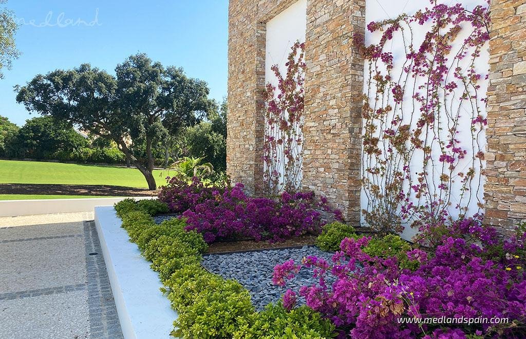 Villa in Sotogrande, San Roque, Andalusia 5 - 12839597