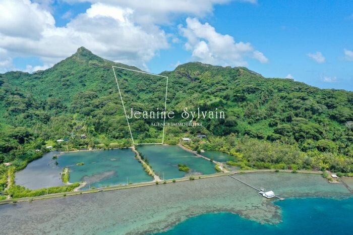 Taha'a, Leeward Islands, French Polynesia 2 - 12845639