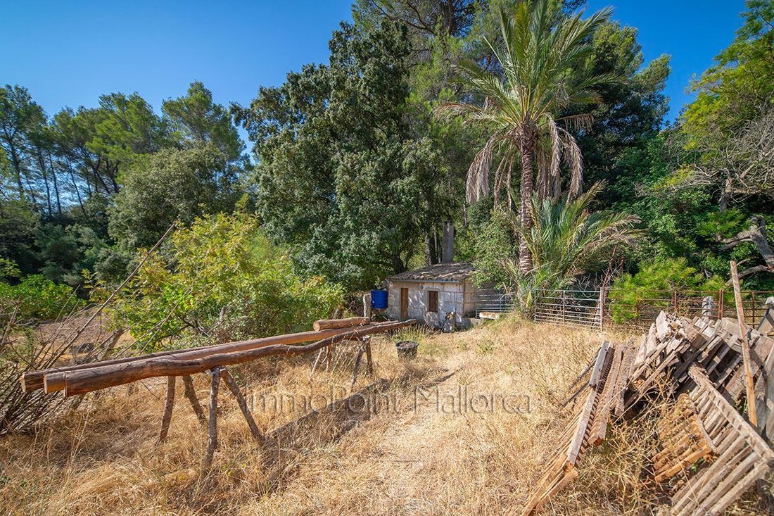 Estate in Selva, Balearic Islands, Spain 4 - 12849225