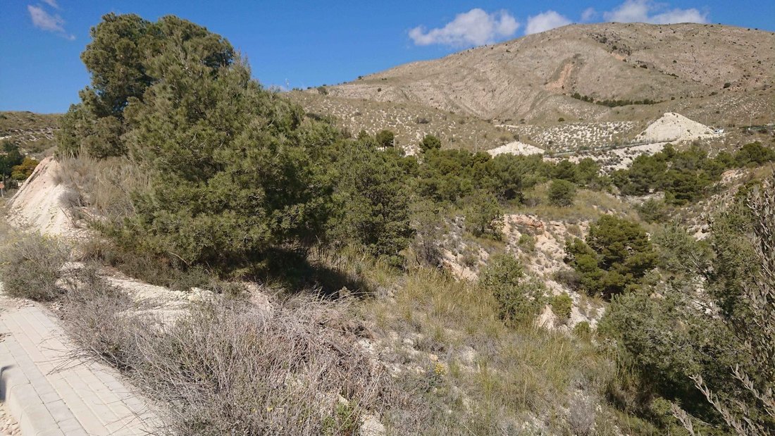 Land in Finestrat, Valencian Community, Spain 1 - 12849375