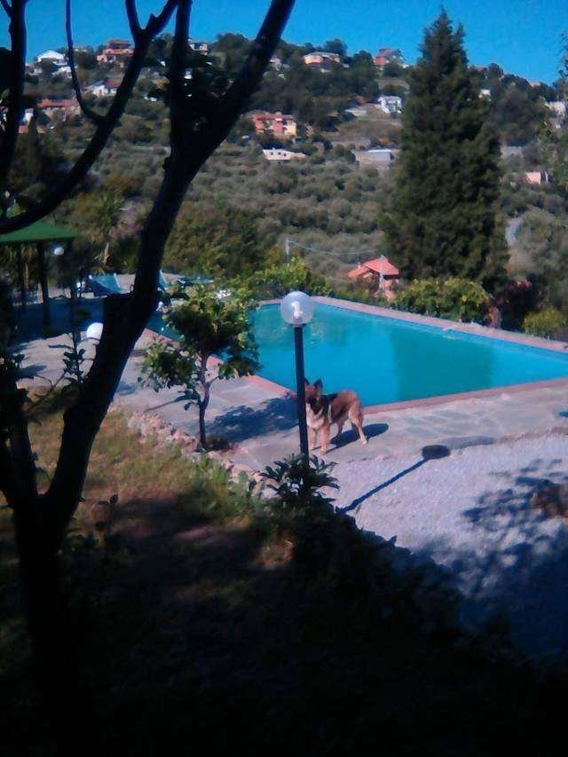 Villa in Noli, Liguria, Italy 2 - 12850768
