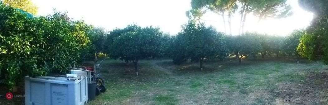 Villa à Centro, Albenga, Ligurie 5 - 12850872