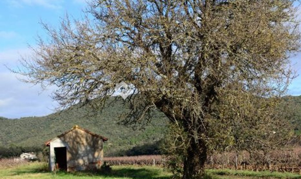 La Môle Villa In La Môle, Provence Alpes Côte D'azur, France For Sale