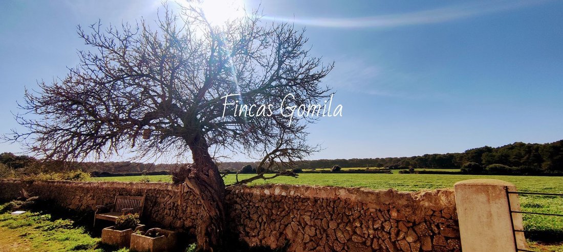 House in es Mercadal, Balearic Islands, Spain 4 - 12849379