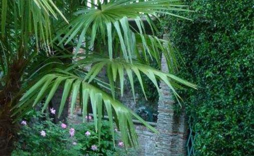 Apartment in Historic Center, Lucca, Tuscany 1