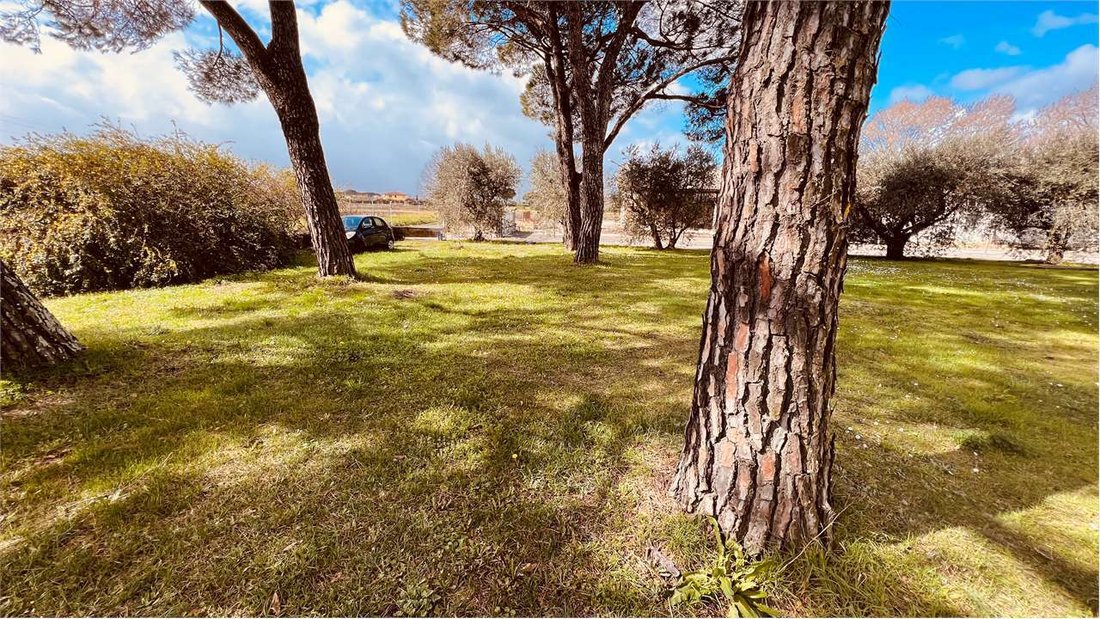 Villa in Montecarlo, Tuscany, Italy 4 - 12851310