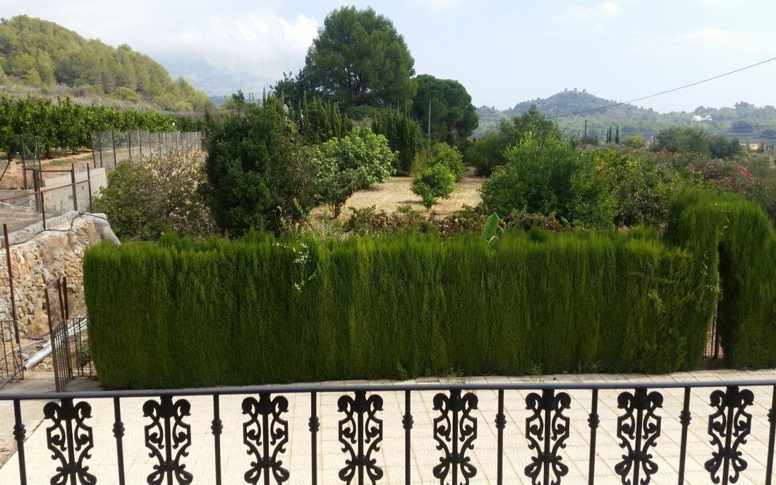 Chalet in Pedreguer, Valencian Community, Spain 5 - 12851201