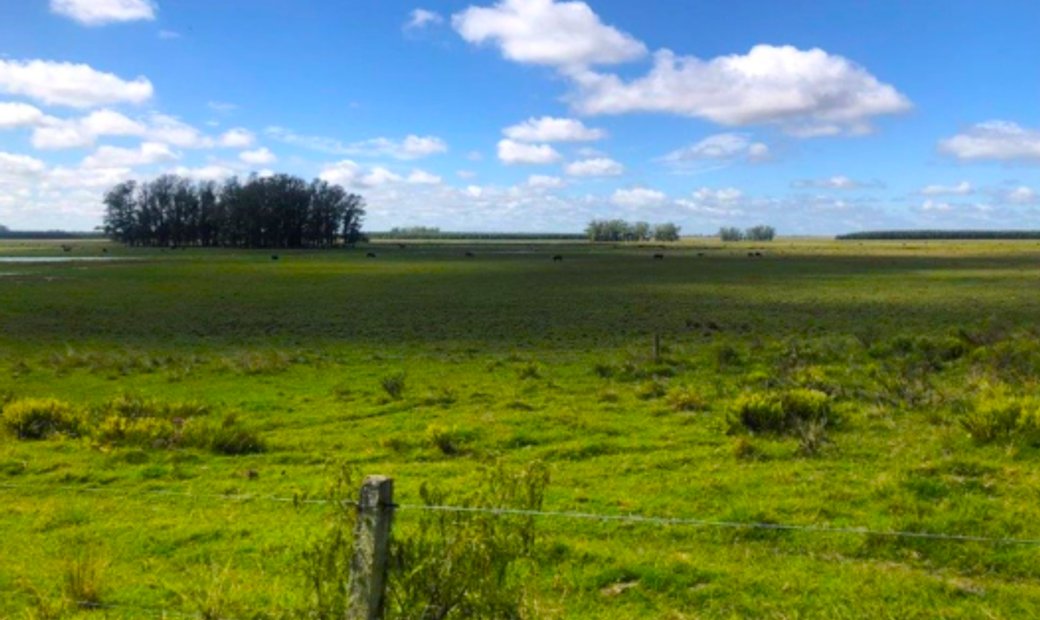 One Of The Largest Farms In Uruguay In Melo, Cerro Largo Department